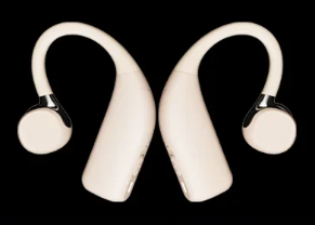 Product model H9 Nature Pro AI BTE Hearing Aids